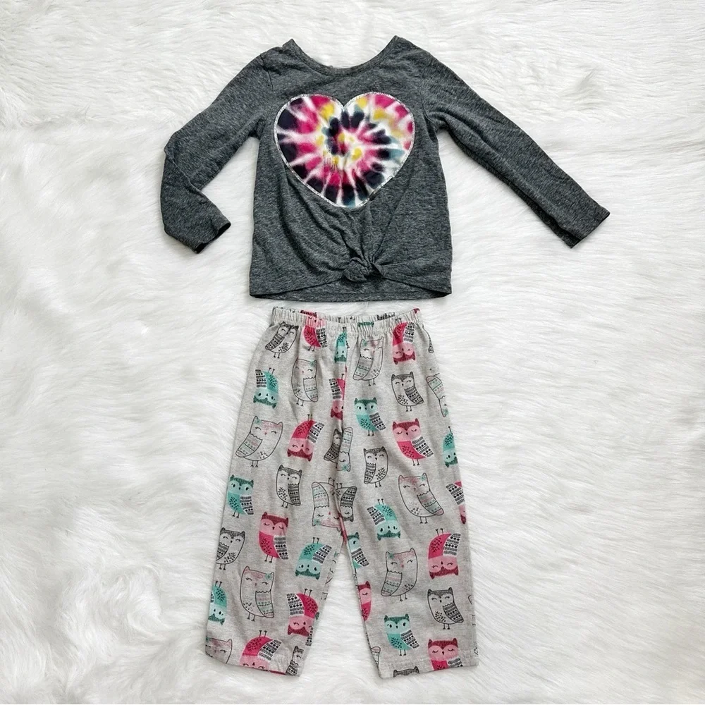 3T Girls Toddler Long Sleeves and Pants Clothes LOT